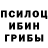 Псилоцибиновые грибы мицелий that_boy_ Johnny
