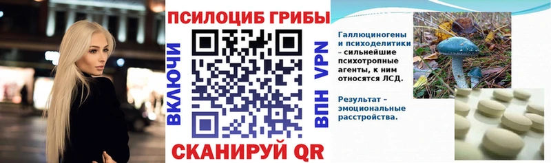 Галлюциногенные грибы Cubensis  Тейково 